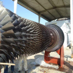 PAESL-Profile-2022-13