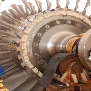 PAESL-Profile-2022-14