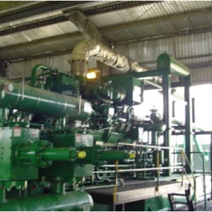 PAESL-Profile-2022-6